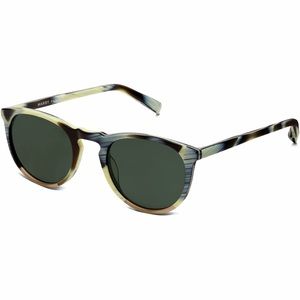 Warby Parker Haskell Sunglasses